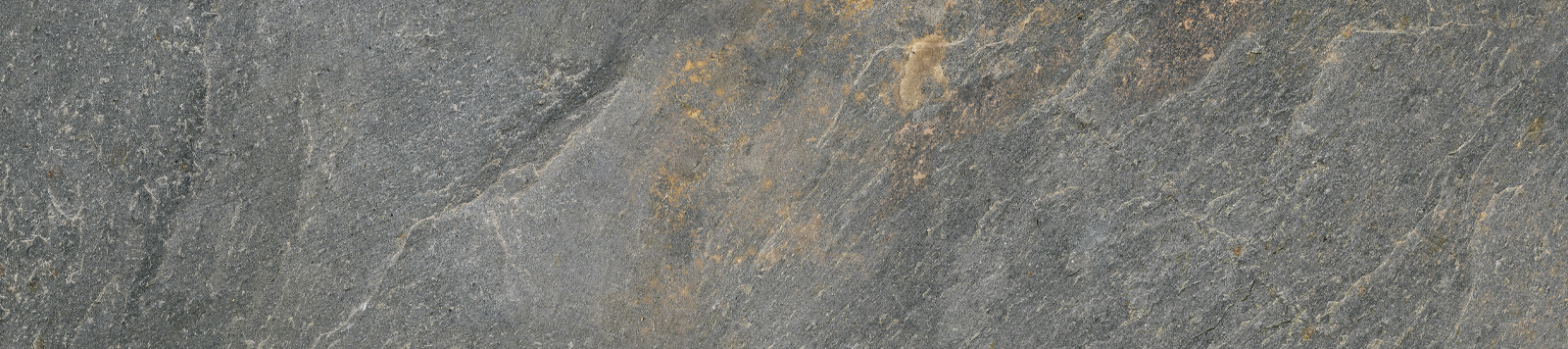 AL01837
