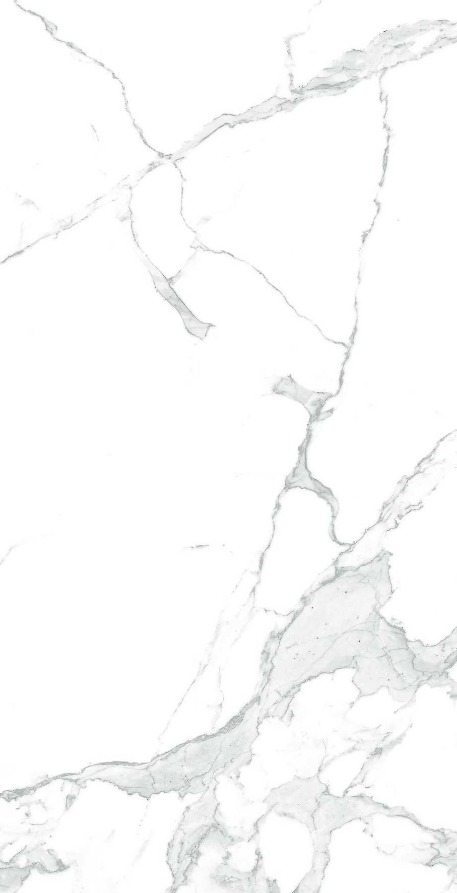 LK000012 фото 5