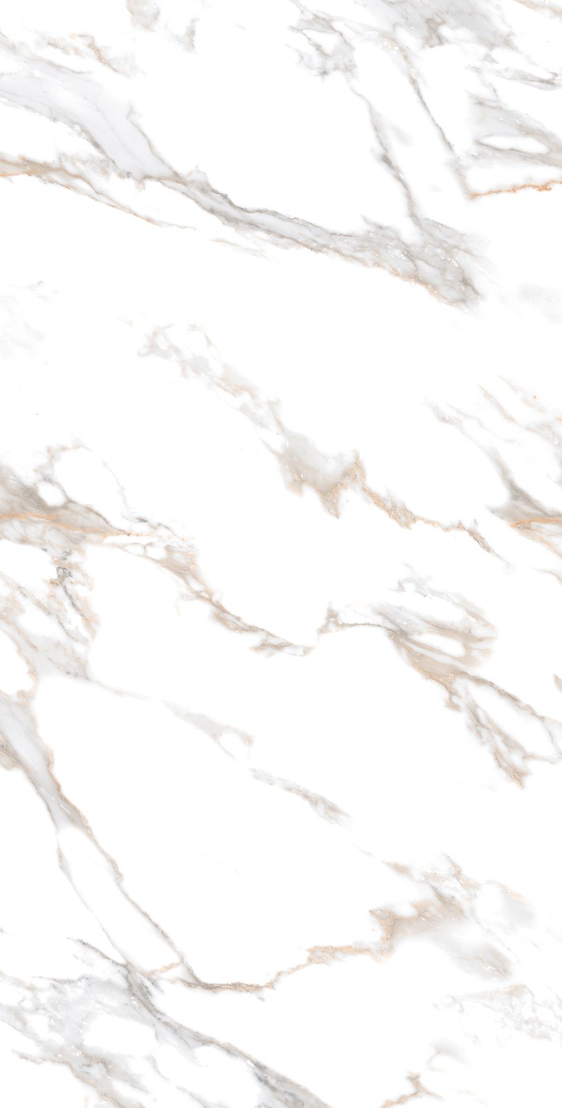 LK000105 фото 8