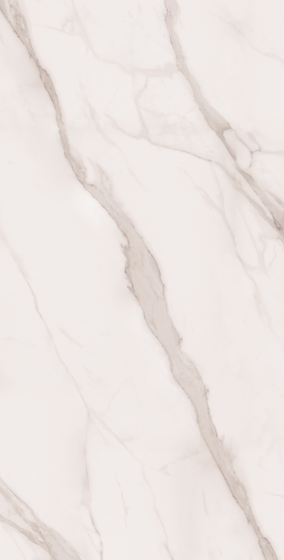 LK000251 фото 6