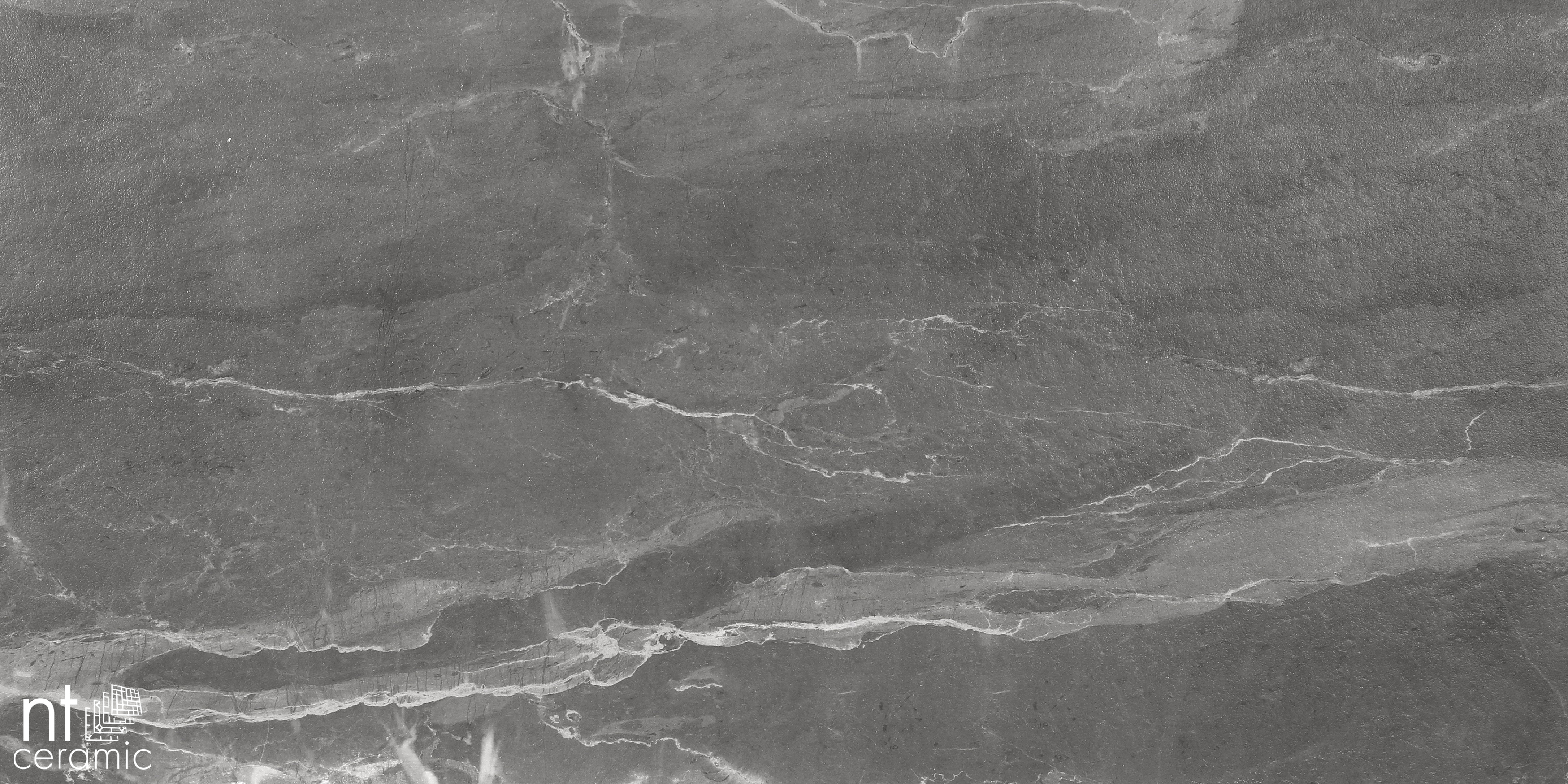 NTC000137 фото 9