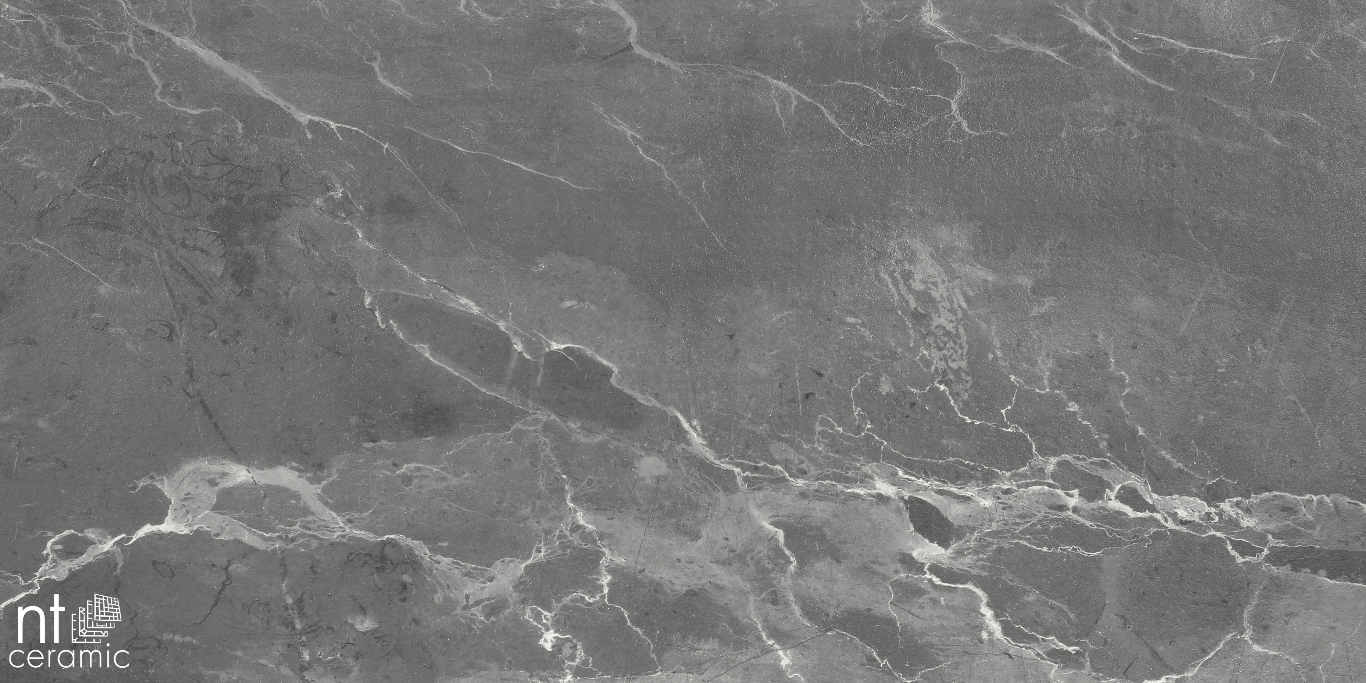 NTC000137 фото 10