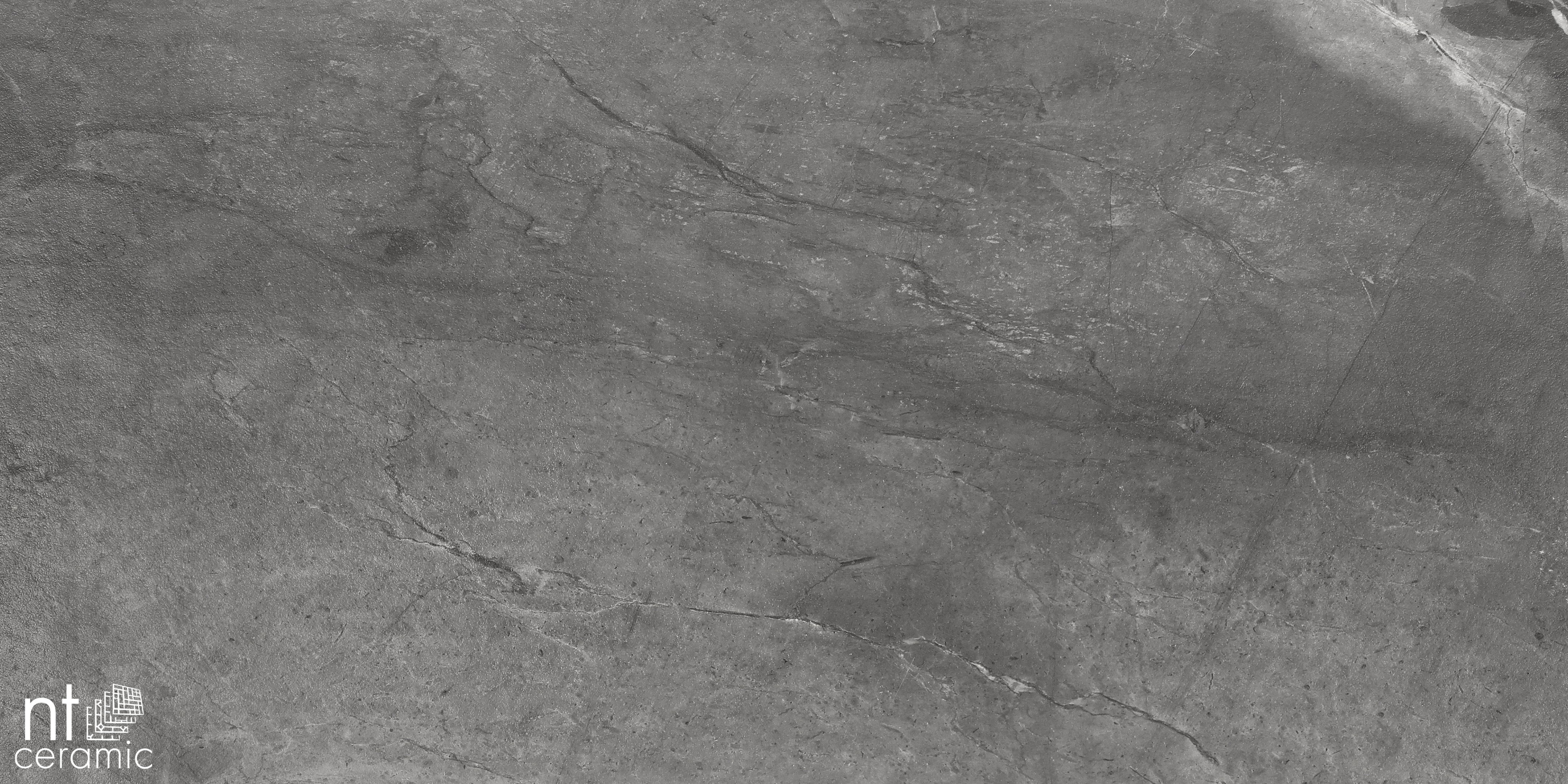 NTC000137 фото 11