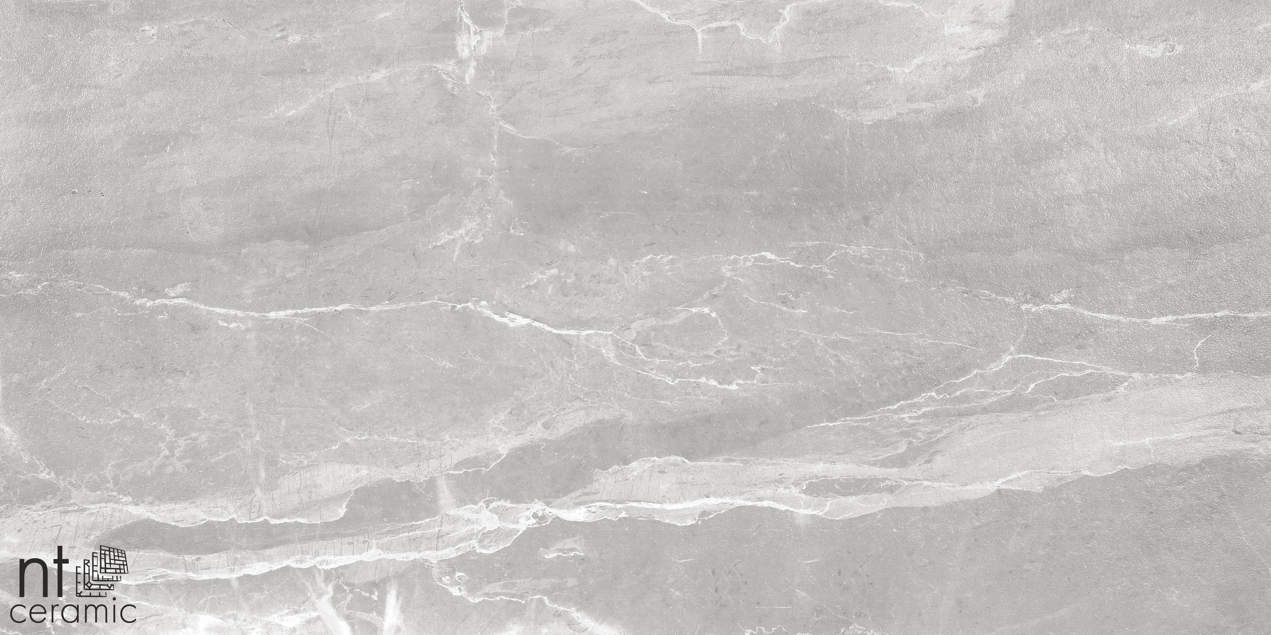 NTC000138 фото 9