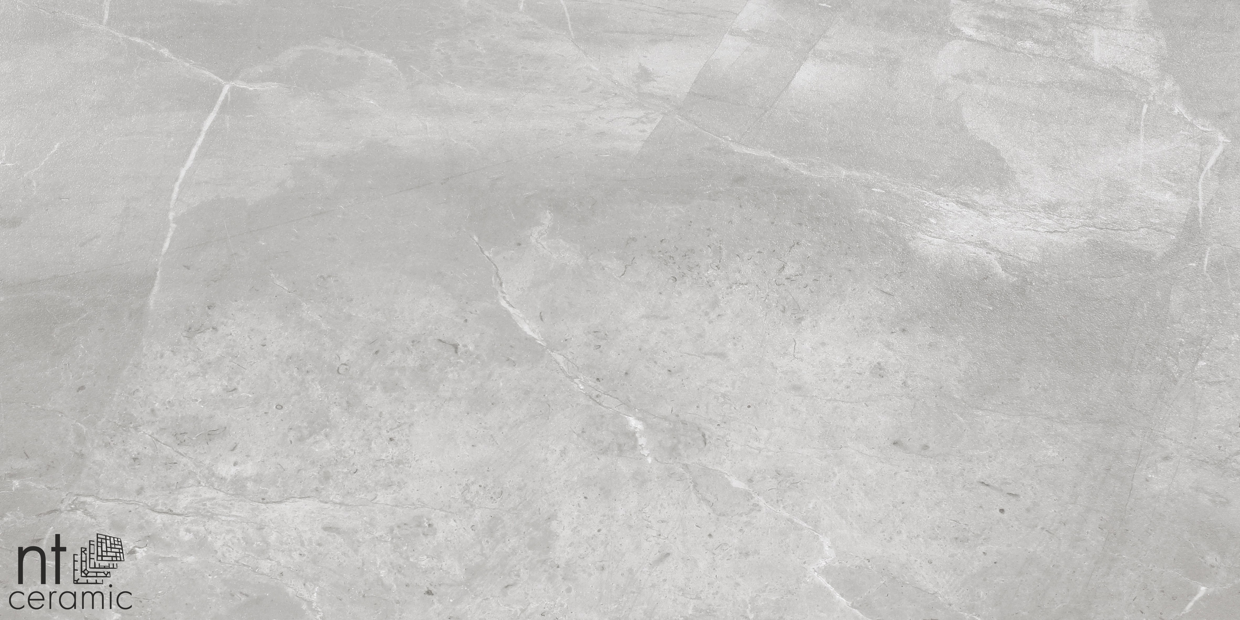 NTC000138 фото 11