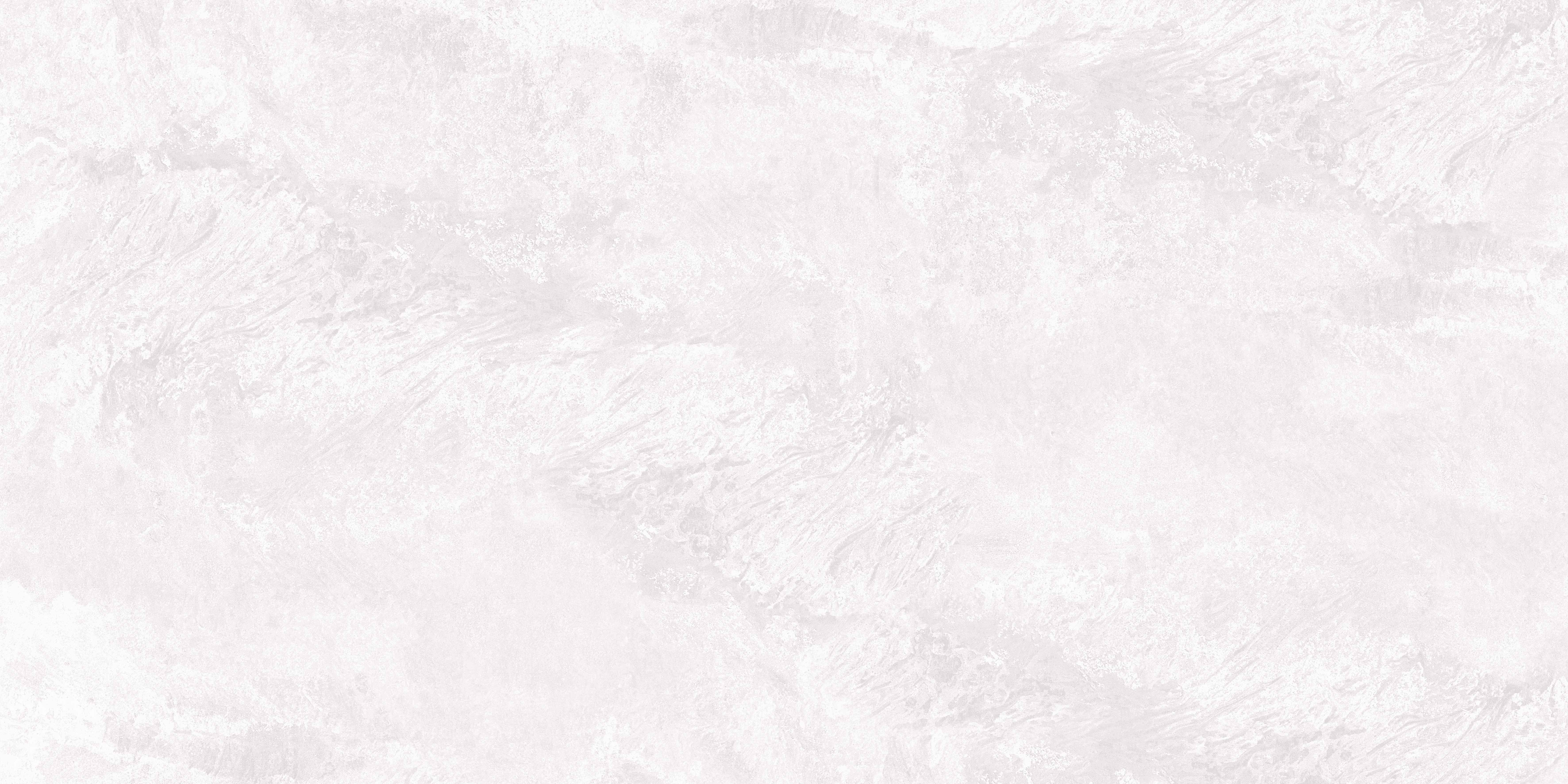 NTC000253 фото 3