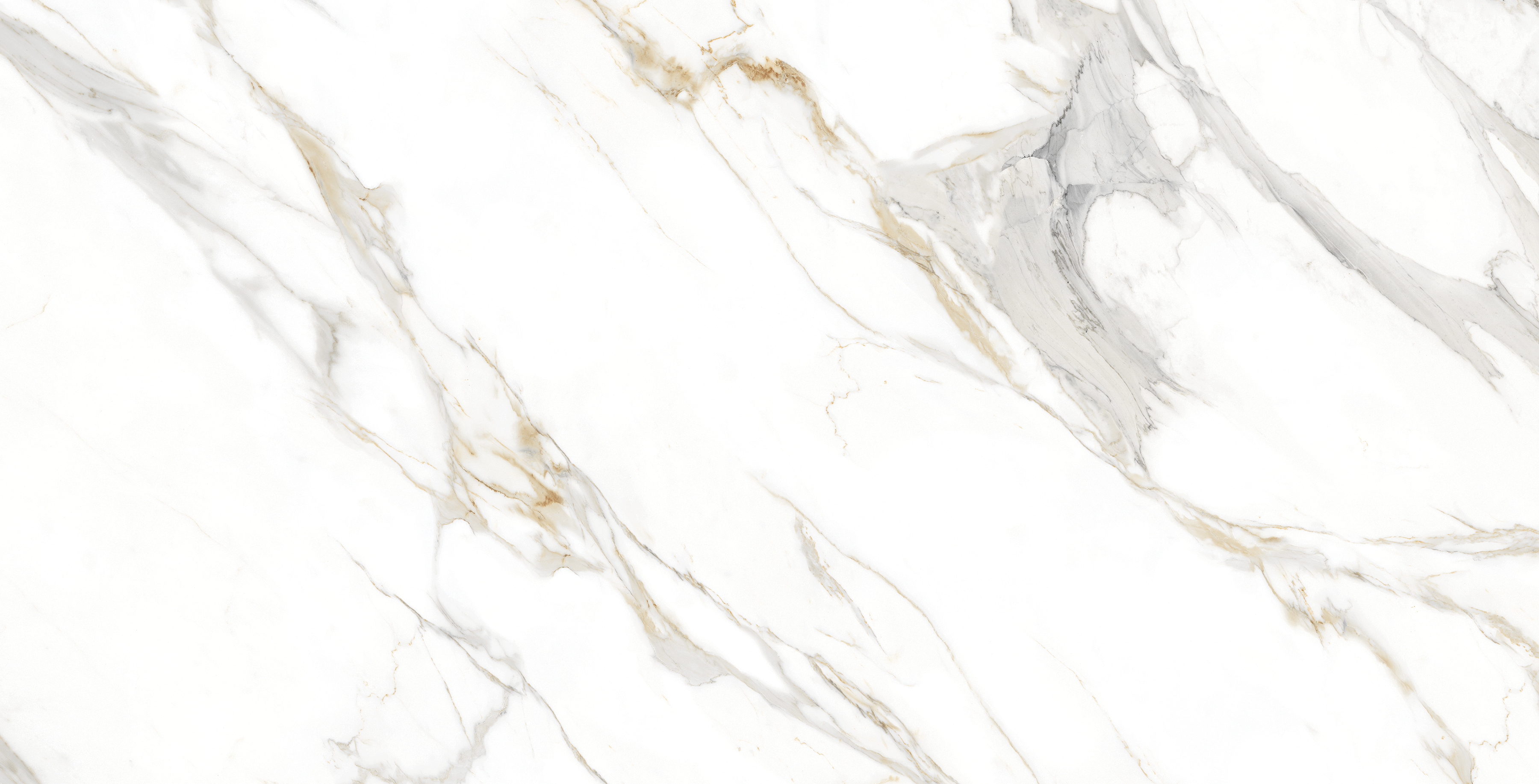 NTC000292 фото 6