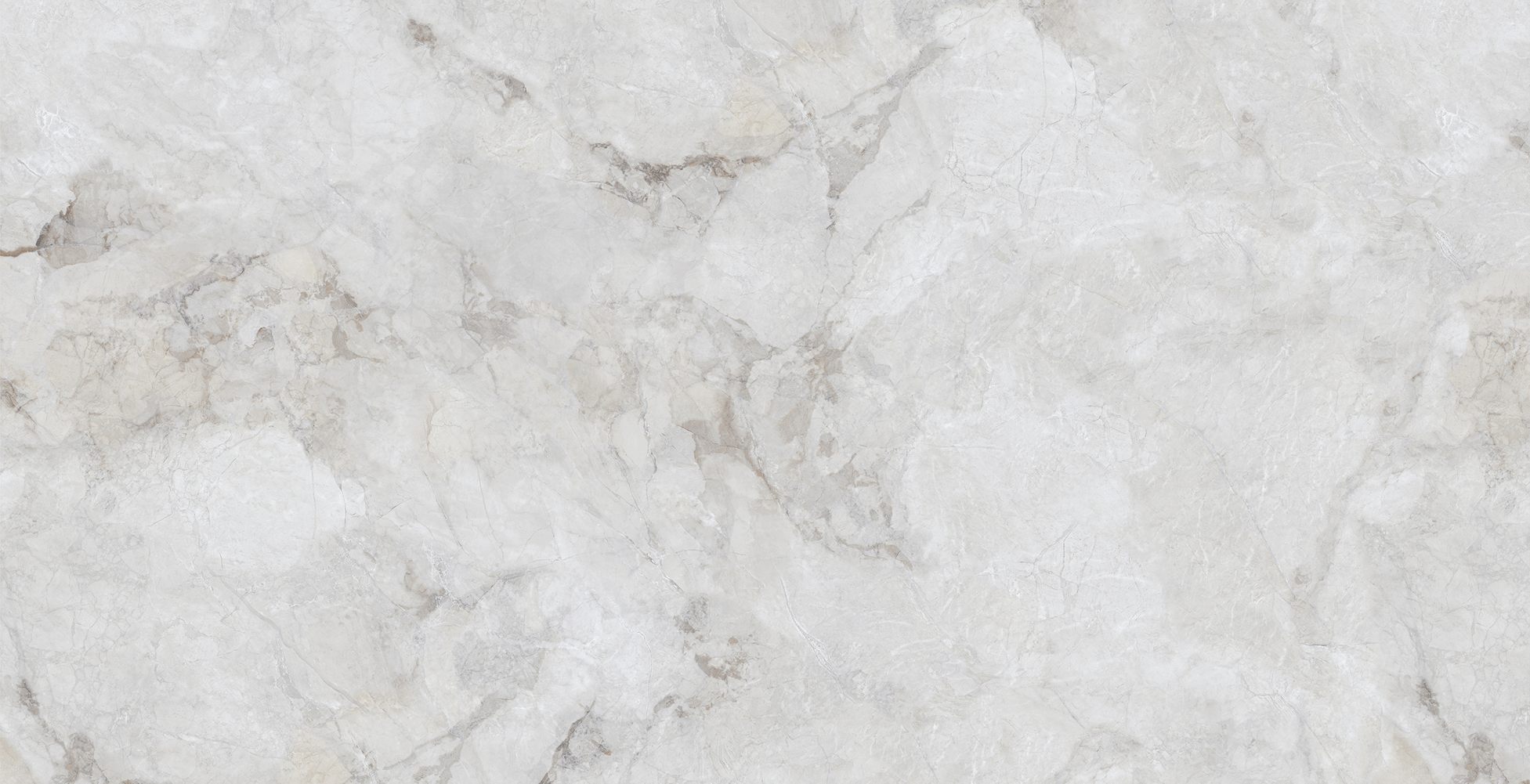 NTC000358 фото 4